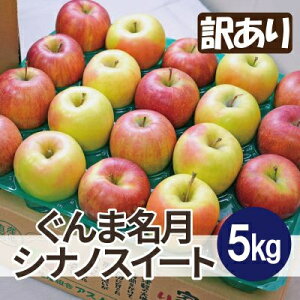 yӂ邳Ɣ[Łzx13xȏۏ! ܖ×VimXC[g 5kg 󂠂yzsnFꌧzy1613317z