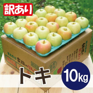 yӂ邳Ɣ[Łzy25N10oׁzϓx12xȏ! gL 10kg 󂠂yzsnFEꌧzy1626500z