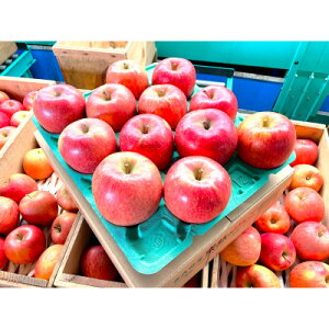 yӂ邳Ɣ[Łzy2025N12\zϓx13xȏ! ĂȂptƂ炸Tӂ 3kgyzsnFEꌧzy1682751z