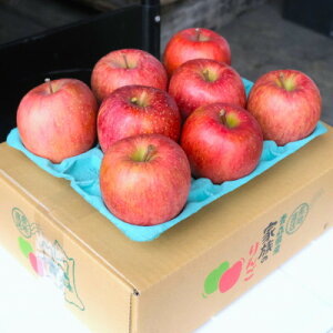 yӂ邳Ɣ[Łzy2025N12\zx13xȏۏ!TӂĂȂp3kg(6`18)yzsnFEꌧzy1682755z