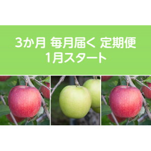 yӂ邳Ɣ[ŁzyŒցzq2026N1菇rÖnEX񂲖5kg S3yzsnFEꌧzy4051697z