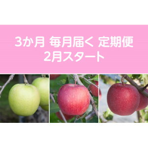 yӂ邳Ɣ[ŁzyŒցzq2026N2菇rÖnEX񂲖5kg S3yzsnFEꌧzy4051698z