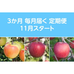 yӂ邳Ɣ[ŁzyŒցzq2025N11菇rÖnEXY񂲖3kgS3yzsnFEꌧzy4068085z