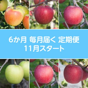 yӂ邳Ɣ[ŁzyŒցzq2025N11菇rXY񂲖3kgS6yzsnFEꌧzy4068301z