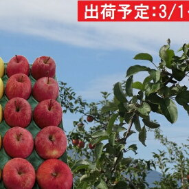 【ふるさと納税】3月 贈答用 津軽のおまかせりんご約5kg 2種以上※サンふじ確約（サンふじ、王林、ジョナゴールド、シナノゴールド等）　【果物・フルーツ・詰合せ・セット・林檎・リンゴ】　お届け：2020年3月1日〜2020年3月20日