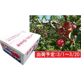 【ふるさと納税】3月 津軽産 家庭用サンふじ約10kg　【果物・フルーツ・くだもの・林檎・リンゴ】　お届け：2020年3月1日〜2020年3月20日