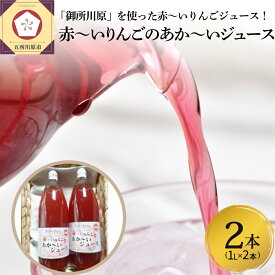 【ふるさと納税】赤〜いりんごのあか〜いジュース1L×2本　【飲料類・果汁飲料・りんご・ジュース・アップルジュース・セット】