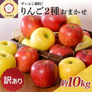 yӂ邳Ɣ[Łzr[]y 󂠂 z  2 ܂ 10kg Tӂm XY ( zIׂ 11`3 ) H { t[c X ܏쌴s