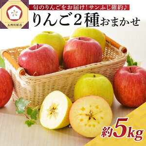 yӂ邳Ɣ[ŁzsI`Gt  2i킨܂ 5kg Tӂm ( zIׂ 11`3 ) / ь 蕨 Mtg  t[c ʕ  퉷ۑ H { XY ܏쌴