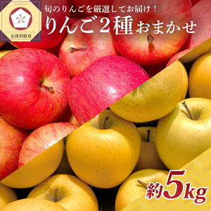 yӂ邳Ɣ[ŁzsI`Gt  2i킨܂ 5kg ( zIׂ 10`1)/ ь S Abv 퉷ۑ 蕨 Mtg  H { ʕ  t[c 10 11 12 1 