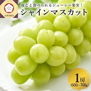 yӂ邳Ɣ[Łzy s\ / 2025N11{ z 嗱 VC}XJbg 1[ (3L`4L / 600`700g)b Ԃǂ t[c ʕ  蕨 Mtg  H { X ܏쌴s