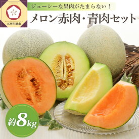 楽天市場 北海道 メロン 産地 都道府県 青森 の通販 楽天市場 北海道 メロン 産地 都道府県 青森 の通販