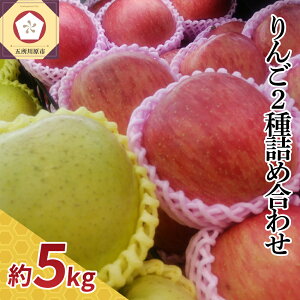 yӂ邳Ɣ[Łz  5kg Tӂ   g lߍ킹 X t[c ʕ y zIׂ 11`3 zH { X ܏쌴s