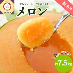 記事番号:33337/アイテムID:352341の画像