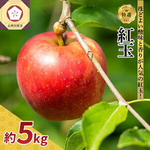 yӂ邳Ɣ[Łzy zIׂ z g 5kg x  X H { ʕ t[c ܏쌴s AbvpC S _ 10 11 12 | AbvpC   ɂ