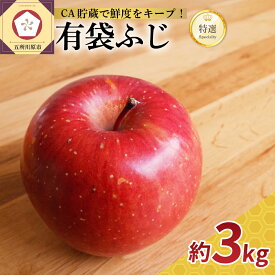 【ふるさと納税】【発送時期が選べる】りんご 有袋ふじ 3kg 特選(スマートフレッシュTM貯蔵またはCA貯蔵・クール便 フルーツ 果物 送料無料 産地直送 青森 五所川原)