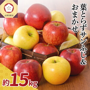 yӂ邳Ɣ[Łz  15kg lߍ킹 v2 ( tƂ炸 Tӂ Ƒ1 )y zIׂ 11`3 z H { t[c X ܏쌴s