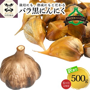 yӂ邳Ɣ[Łzy  3 / 6 zy 󂠂 z X n ɂɂ o 500g Y jjN jjN ɂɂ   X ܏쌴 ܏쌴s 