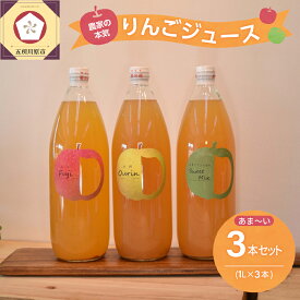 【ふるさと納税】青森 りんごジュース 1L×3本 りんご 果汁 100％ ストレート あまい 飲み比べ セット 五所川原市 飲料 リンゴジュース