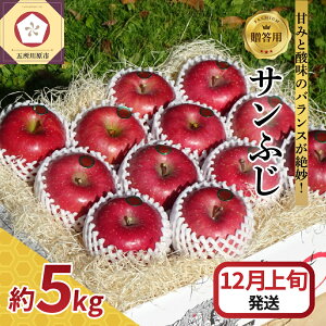 yӂ邳Ɣ[Łzs s\ 2025N12{t p Tӂ 5kg X /  S ь Tӂ ӂ tW tW Abv ʕ  t[c  蕨 Mtg 5L 