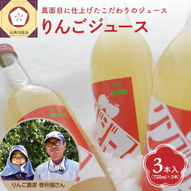 【ふるさと納税】 りんごジュース 3本 セット ストレート 果汁 100％ ジュース オリジナルブレンド 春秋園 【 青森 県 五所川原 市 リンゴジュース 林檎 農家直送 飲料 】