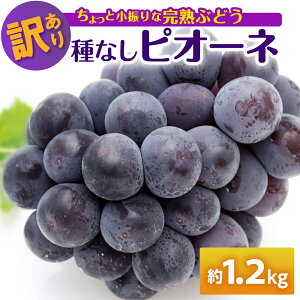 yӂ邳Ɣ[Łzy zIׂ z󂠂 Ԃǂ sI[l Ȃ 1.2kg xiUE2[j ʕ t[c X ܏쌴s