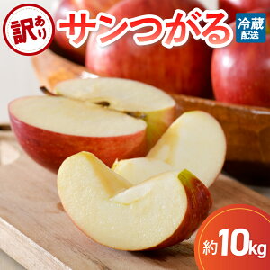 yӂ邳Ɣ[Łz󂠂  3kg 5kg 10kg 9 T Xy2025N S ь ʕ N[ցzH { t[c ܏쌴s