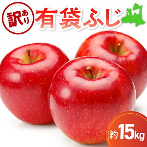 yӂ邳Ɣ[Łzy 󂠂 z  Iׂe 3kg 5kg 10kg 15kg L܂ӂ X yIׂz yX}[gtbVTM ܂ CA E N[ t[c ʕ  Yn