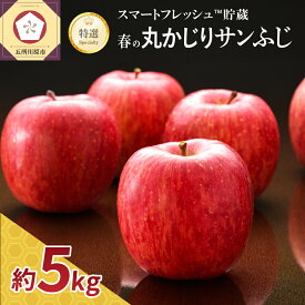 【ふるさと納税】りんご 5kg 特選 春の 丸かじり サンふじ 青森【発送時期が選べる】 スマートフレッシュ TM貯蔵 または CA貯蔵 送料無料 産地直送 フルーツ 果物 青森県 五所川原市