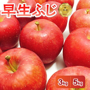 yӂ邳Ɣ[Łzs 2025N10Jnt I ӂ eʂIׂ 3kg ܂ 5kg / tW  ь Abv ʕ  t[c 蕨 Mtg  퉷ۑ H { X ܏