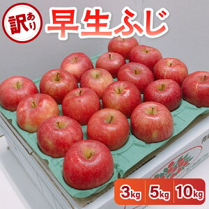 yӂ邳Ɣ[Łzs 2025N10Jnty 󂠂 z ӂ eʂIׂ 3kg / 5kg / 10kg /  ь Abv KiO s ʕ  t[c 퉷ۑ H { X ܏쌴s