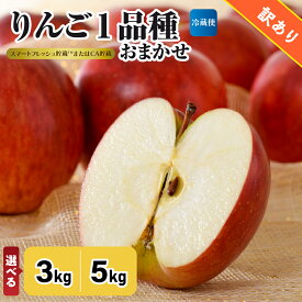 【ふるさと納税】【選べる配送時期】【訳あり】りんご 約 3kg / 5kg 青森産 【おまかせ1品種】【スマートフレッシュ貯蔵またはCA貯蔵・ クール便 】 青森りんご リンゴ 林檎 五所川原 冷蔵 フルーツ 果物 青森県 五所川原市