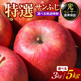 【ふるさと納税】【選べる配送時期】【 特選 】 りんご サンふじ ( 選べる 3kg / 5kg )【 贈答用 】 3キロ 5キロ 令和7年産 フルーツ 果物 くだもの 期間限定 産地直産 ご当地 お取り寄せグルメ 大容量 送料無料 国産 東北 青森県 五所川原市