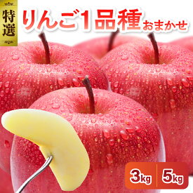 【ふるさと納税】《特選》 りんご 1品種おまかせ 3kg または 5kg ( 配送時期が選べる ) 青森 フルーツ 果物 くだもの 林檎 3キロ 5キロ 送料無料 贈り物 ギフト 秋 旬 常温保存 青森県 五所川原市