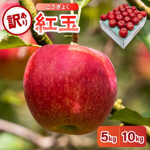 yӂ邳Ɣ[Łzy 󂠂 z g ( eʂIׂ : 5kg 10kg / zIׂ : 10 11 12 ) / s KiO  S ь Abv ʕ  t[c 퉷ۑ H { ringo 