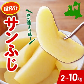 【ふるさと納税】【選べる配送時期】 りんご サンふじ 規格外 （選べる 2kg / 5kg 10kg ） 年内配送 年内発送 訳あり 家庭用 不揃い ふじ サン フジ フルーツ 旬 青森県 11月 12月 1月 2月 3月 青森県 五所川原市