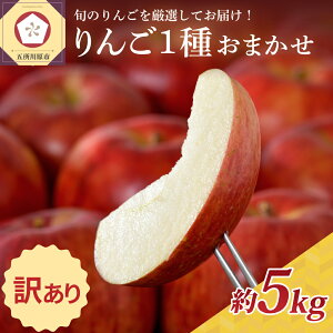 yӂ邳Ɣ[Łz  y 󂠂 z 5kg 1i킨܂ ( zIׂ 10`3 )/ s KiO  ʕ  t[c ь Abv S H { 퉷ۑ 10 11 12 1 2 