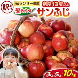 【ふるさと納税】★レビュー高評価★【 訳あり 】 葉とらず サンふじ ( 内容量が選べる 3kg 5kg 10kg / 配送時期が選べる 11月 ～ 2月 ) りんご 年内配送 年内発送 規格外 不揃い 傷 家庭用 林檎 ふじ 果物 フルーツ 秋 旬 リンゴ 常温 青森県 五所川原市