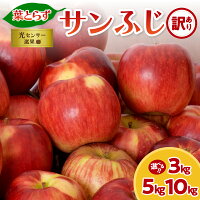 【ふるさと納税】★レビュー高評価★【 訳あり 】 葉とらず サンふじ ( ...