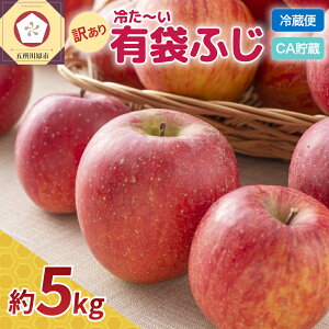 �y�ӂ邳�Ɣ[�Łz�y�����������I�ׂ�z�󂠂� CA���� �₽�`���L�܂ӂ� �X�Y ��5kg �N�[���ցy �L�܍͔| CA���� �N�[���� �ʕ��� �ь� �����S �ӂ���� �ƒ�p �t���[�c �ʕ� �X �܏���