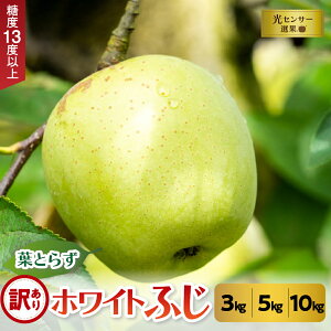 yӂ邳Ɣ[Łz 󂠂 tƂ炸 zCg ӂ   3kg /  5kg /  10kg s e  z Iׂ t 11 ^ 12 X Y tƂ炸 zCgӂ PA S 󂠂