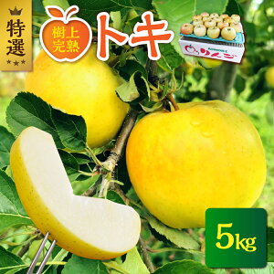 yӂ邳Ɣ[Łzs 2025N10 t I Ƃ Iׂe 3kg ܂ 5kg / gL  ь Abv t[c 蕨 Mtg v[g 퉷ۑ H { X ܏쌴s