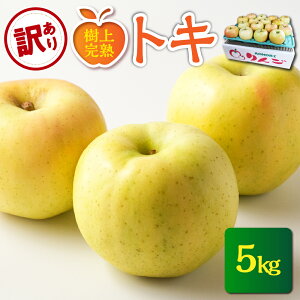 yӂ邳Ɣ[Łzs 2025N10 ty 󂠂 zIׂe Ƃ 3kg ܂ 5kg / gL s KiO  ь Abv 퉷ۑ H { ʕ  t[c X ܏쌴s