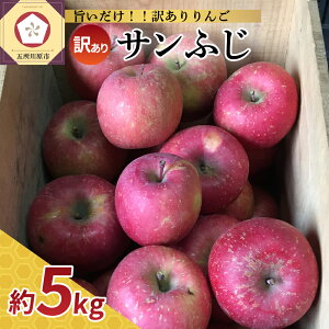 yӂ邳Ɣ[Łzs s\ ty 󂠂 z Tӂ 5kg ( zIׂ 12 1) / s KiO  ь Abv 퉷ۑ H { ʕ  t[c Y 퉷ۑ X 