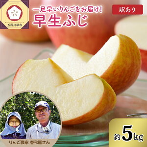 yӂ邳Ɣ[Łzs s\ 2025N10{ty 󂠂 z ӂ 5kg / X ƒp KiO s  ь t[c ʕ  H { 퉷ۑ X ܏쌴s