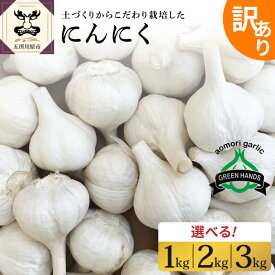 【ふるさと納税】＼★4.94 レビュー高評価 ／ にんにく 【 訳あり 】 青森県産 ( 内容量が選べる : 1kg 2kg 3kg )【 先行予約 8月中旬より順次発送】/ ニンニク 野菜 薬味 ホワイト6片種 濃厚 食品 自宅用 家庭用 ストック 長期保存 常温保存 青森県 五所川原市