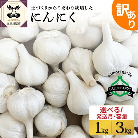 【ふるさと納税】＼★4.94 レビュー高評価 ／ にんにく 【 訳あり 】 青森県産 ( 内容量が選べる : 1kg 3kg /発送時期が選べる )/ ニンニク 野菜 薬味 ホワイト6片種 濃厚 食品 食材 自宅用 家庭用 ストック 長期保存 常温保存 青森県 五所川原市