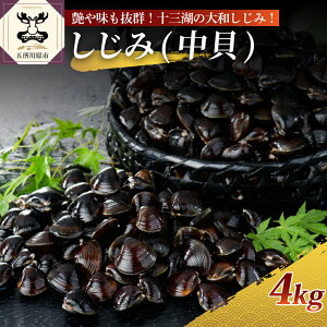 yӂ邳Ɣ[Łz4.3 r[] \OΎY a L Ⓚ  ( eʂIׂ : 2kg 4kg )/  L L Y X VW~  X ܏쌴s