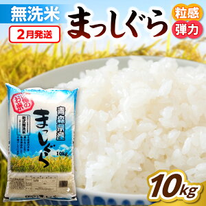 yӂ邳Ɣ[Łzsߘa7NYt  10kg XY ܂   ( Iׂz 12 1 2 )    uh  퉷ۑ 10L X ܏쌴s