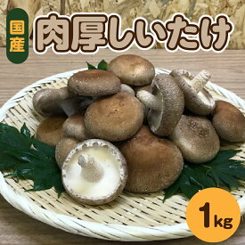 【ふるさと納税】 国産 肉厚 しいたけ 1kg (500g×2袋) or 2Kg (500g×4袋) 青森 新規就農者応援 【 きのこ 椎茸 シイタケ 肉厚しいたけ 】野菜 やさい 青森 五所川原